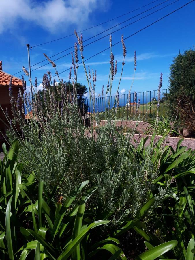 Casa Benedita Понта-ду-Паргу Экстерьер фото